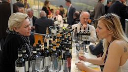 Rượu vang Italy vẫn bội thu bất chấp khủng hoảng kinh tế 